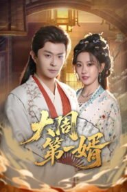 大周第一婿